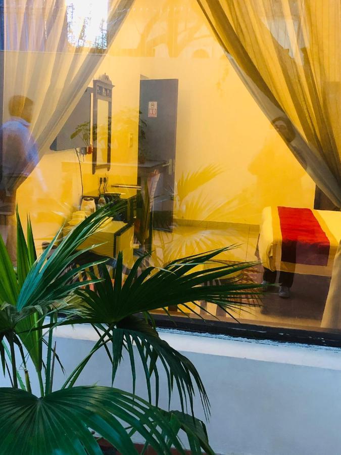 The Neem Bed & Breakfast New Delhi Eksteriør bilde