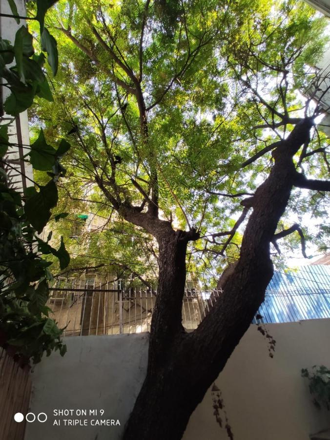 The Neem Bed & Breakfast New Delhi Eksteriør bilde